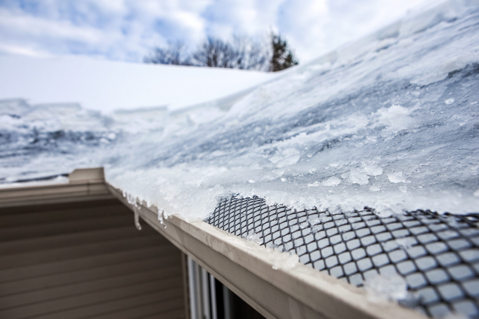 Roof with ice dam in gutter